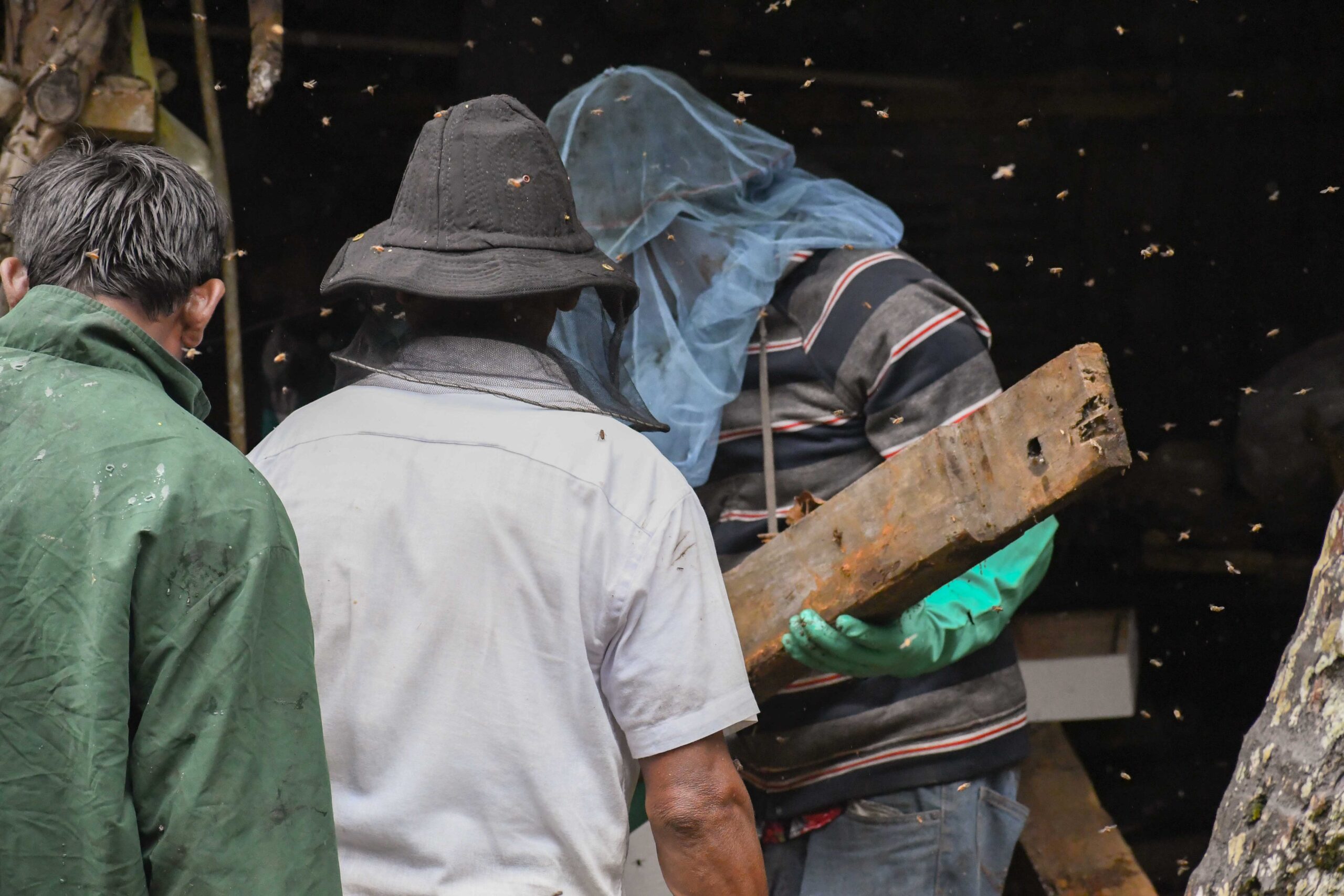 Fair Grounds Foundation honing